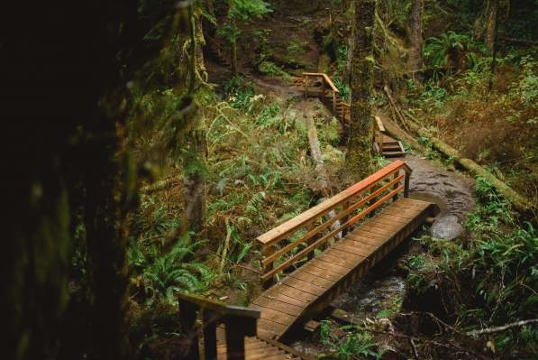 China Beach, Juan de Fuca Marine Trail