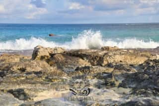 Featured Property Image