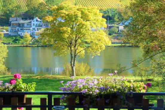 Featured Property Image