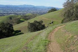 Harvey Bear Trail | Morgan Hill