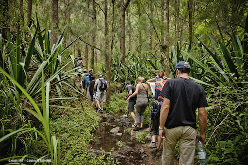 Randonnées - IRT - Cedric Etienne - Ambalaba Villa - Petite-Ile La Reunion