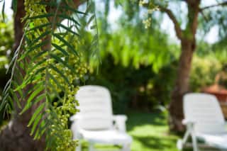 Featured Property Image