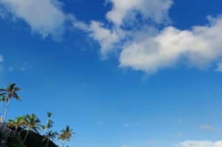 Featured Property Image