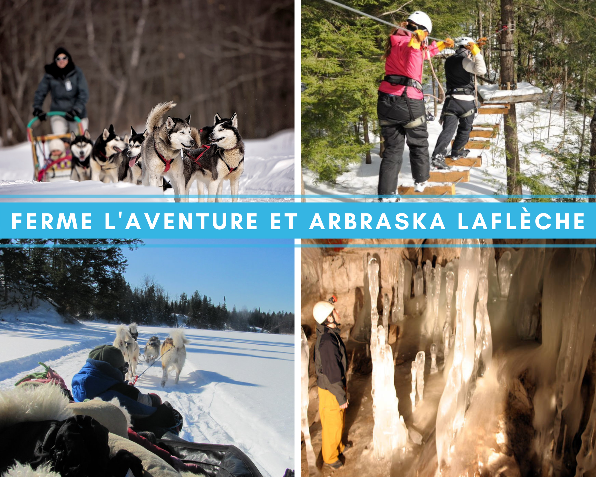 Auberge Tom B&B - Activités hivernales en Outaouais - traineau à chiens à la ferme l'Aventure et parcours aérien à Arbraska Laflêche