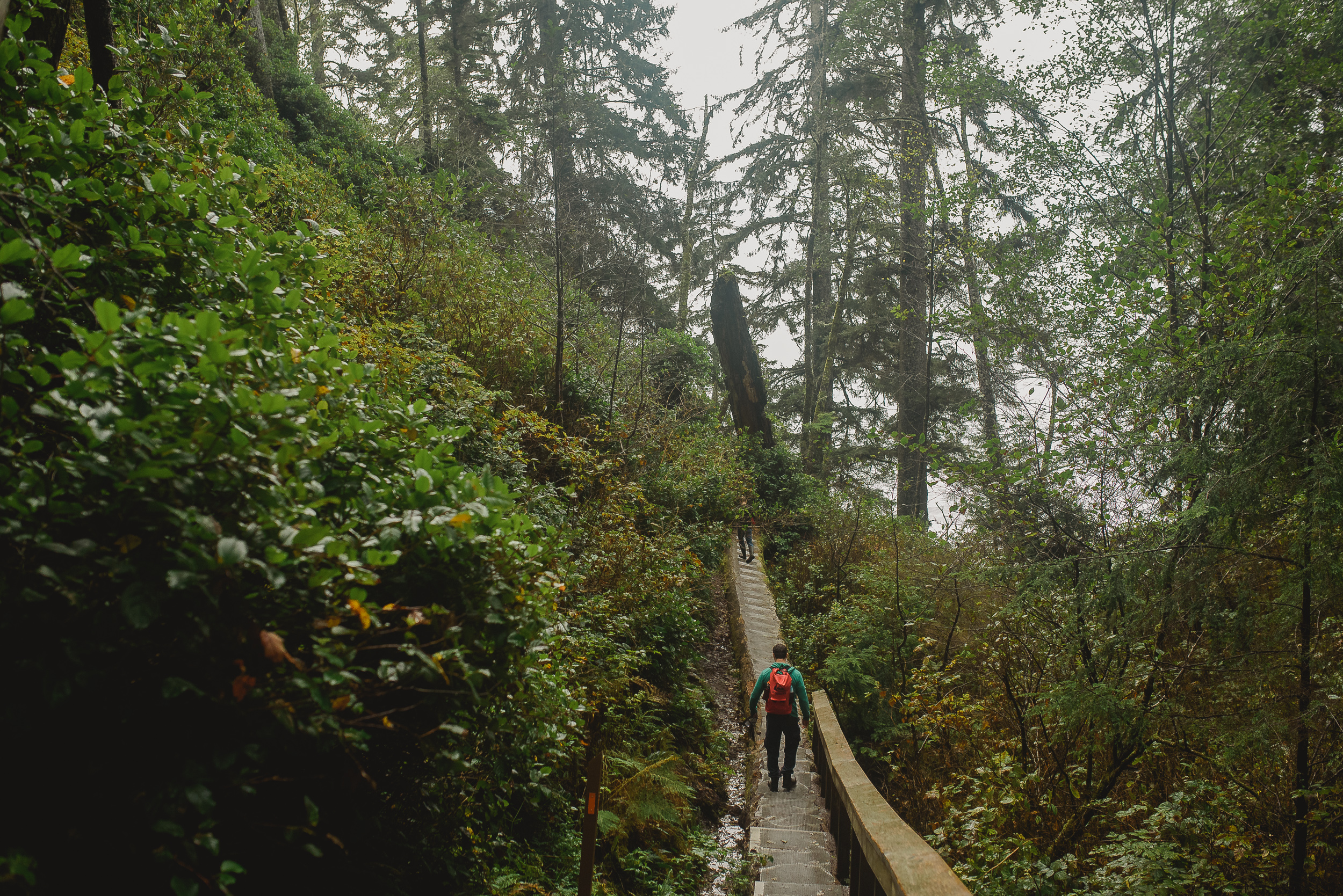 Hiking in Port Renfrew