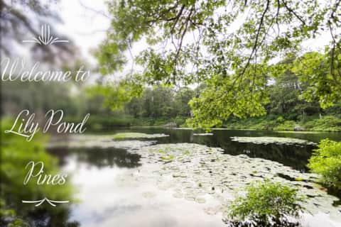 Featured Property Image