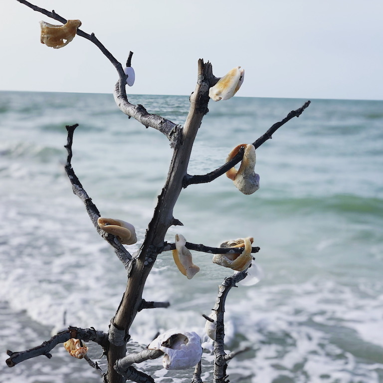 Sanibel Island Vacation Rental Home
