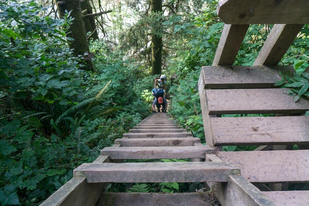 West Coast Trail ladders