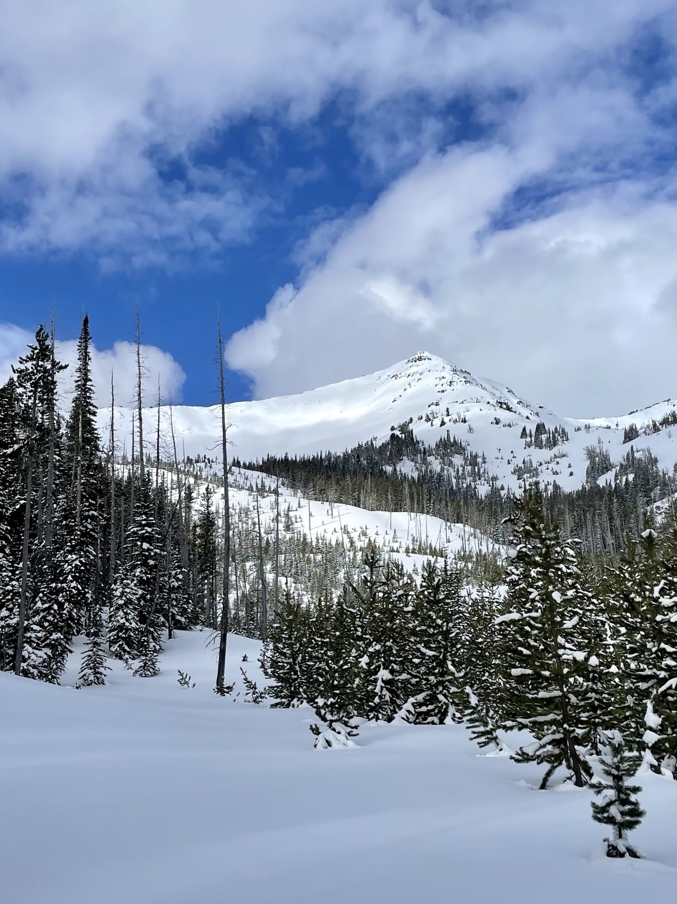 Wing Ridge Wallowa Mountains