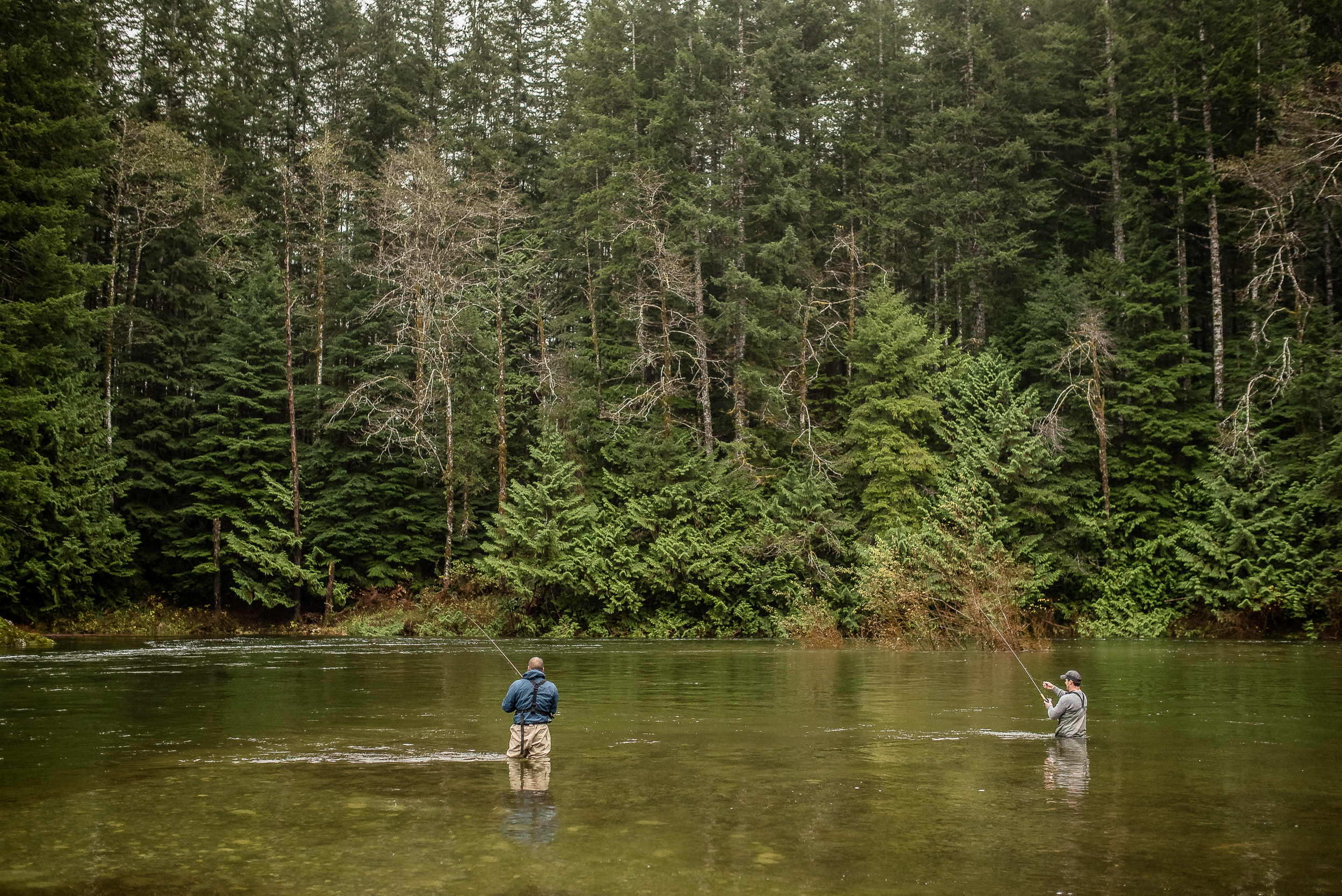 Freshwater fishing and swimming Lizard lake and Fairy Lake