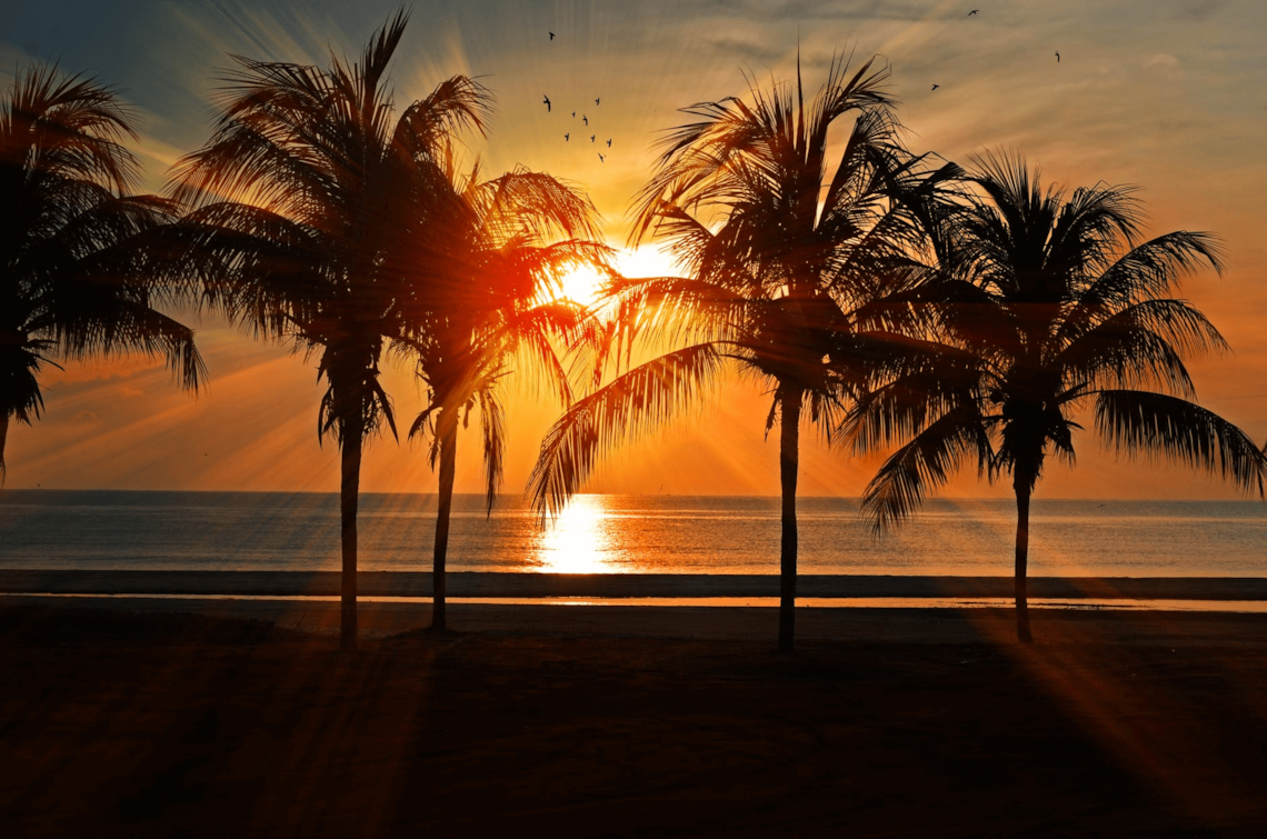 Imagen playera rental holidays