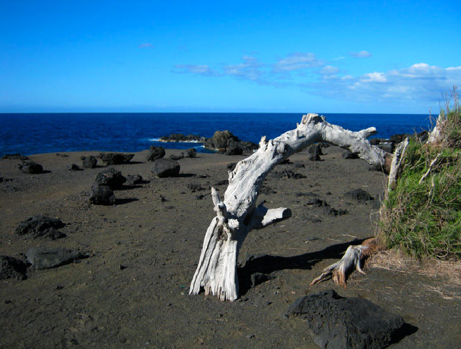 Le Sentier du Littoral de l'Etang Salé les Bains à proximité de Les Villas Emmanuel La Réunion