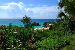 Featured Property Image