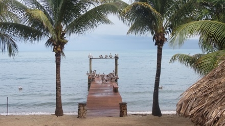 Your dock is perfect for sun sets, fishing, manatee sightings, or just relaxing in the over water hammock.