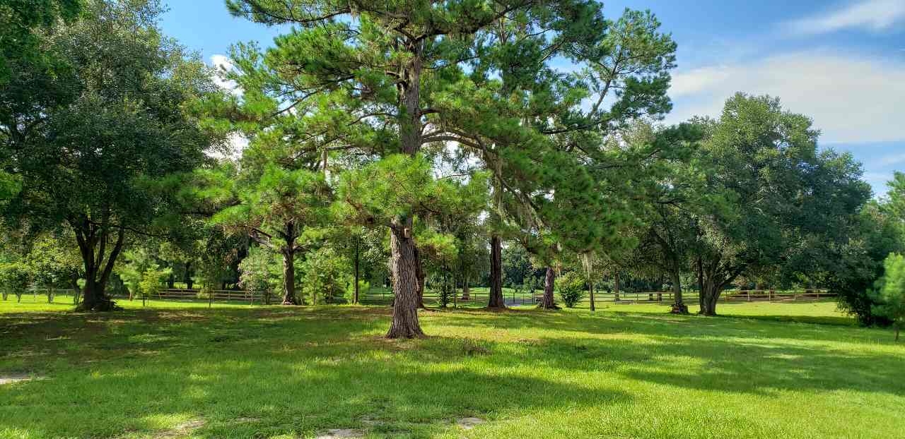 Cabin Rental Near Gainesville Fl