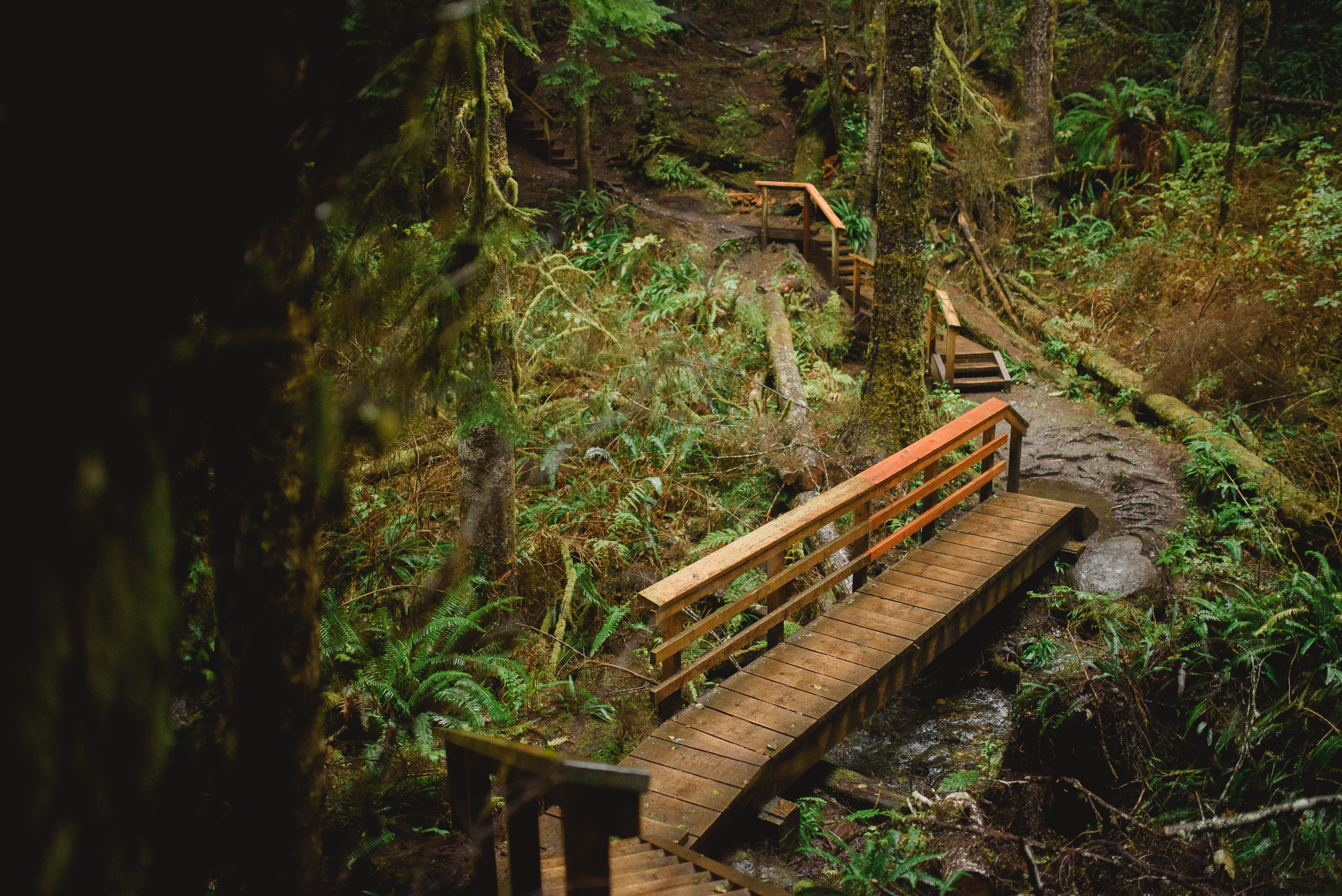 China Beach, Juan de Fuca Marine Trail