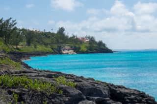 Featured Property Image