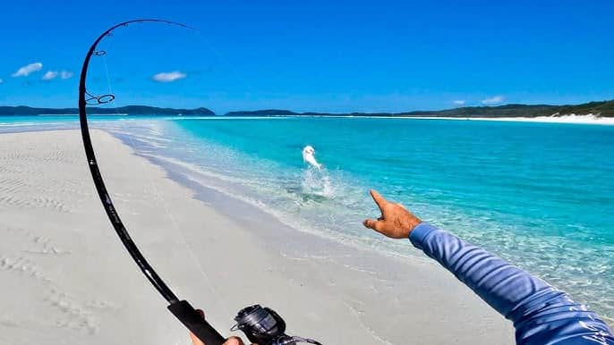 Beach Fishing