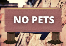 No Pets