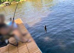 Fishing off our dock
