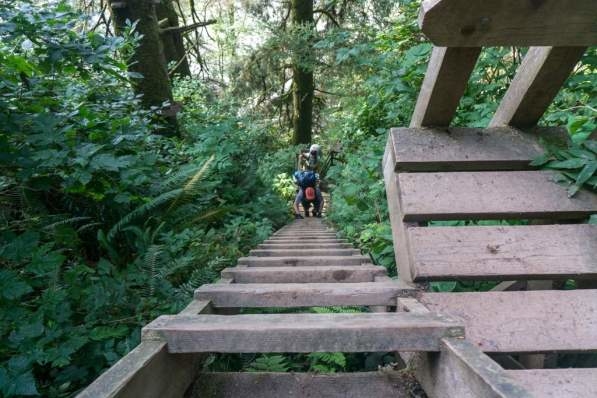 West Coast Trail ladders, Vancouver Island