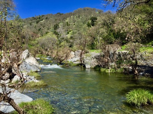 Coe Park | Morgan Hill