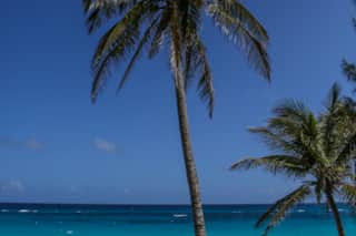 Featured Property Image