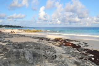 Featured Property Image