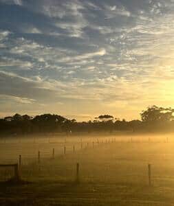 Good morning world.  