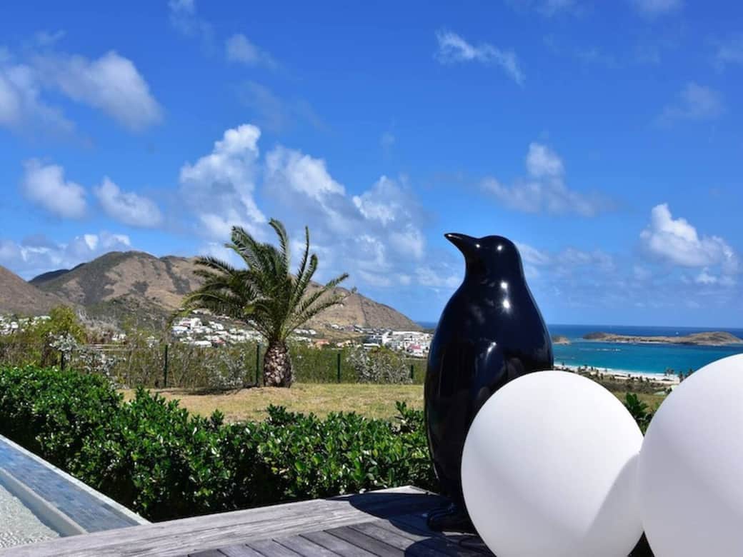 View from the terrace Indigo Pearl