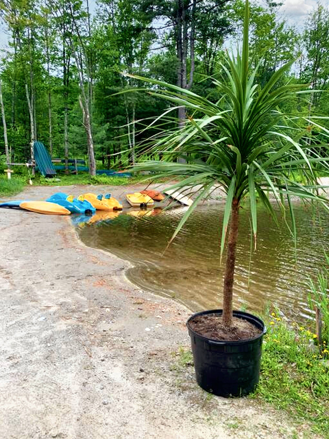 plages et embarcations