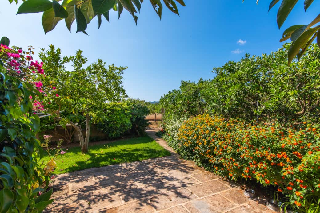 Antonia Riutort Canyamel menyspes 3