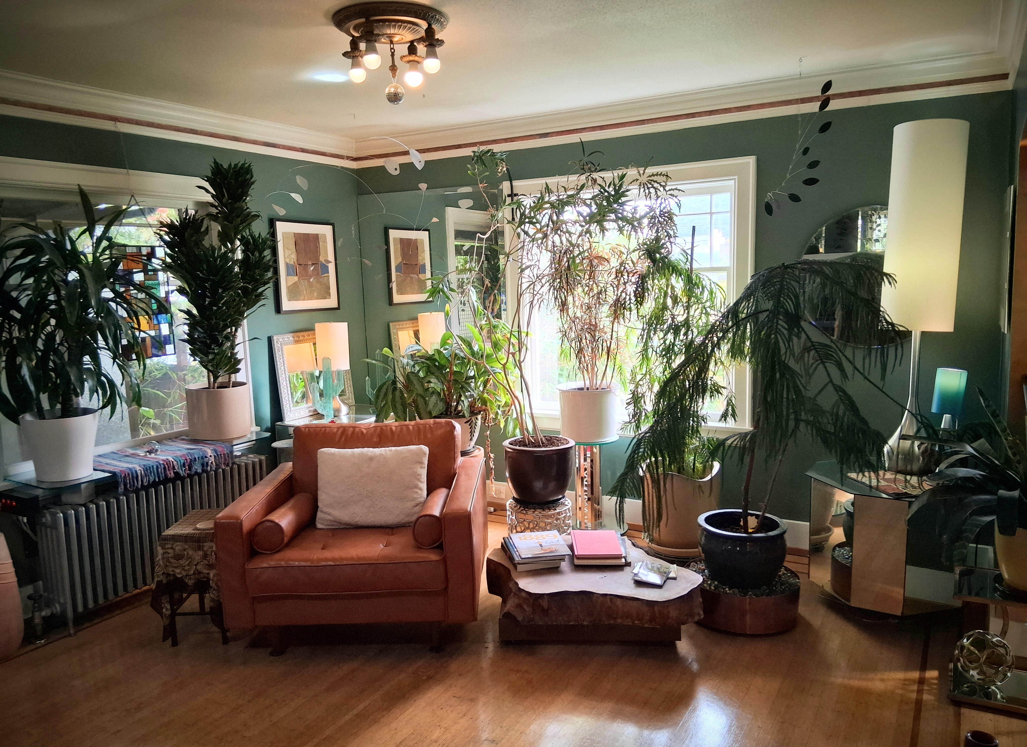 Lots of plants, too!