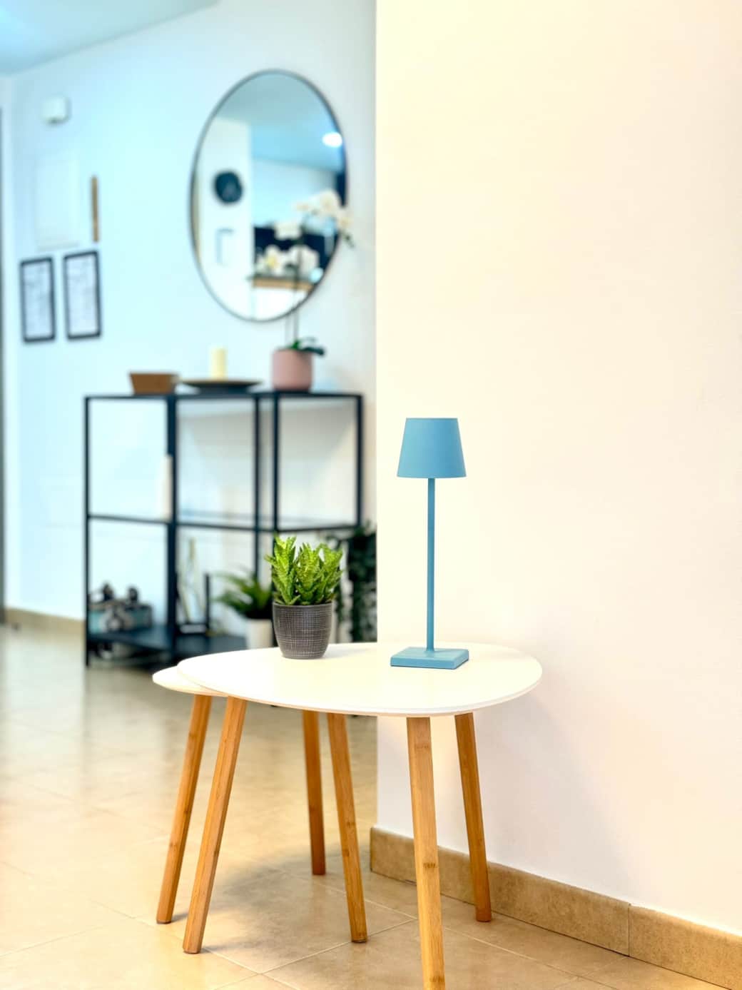 Sunlight space with plants creating a fresh and airy atmosphere.