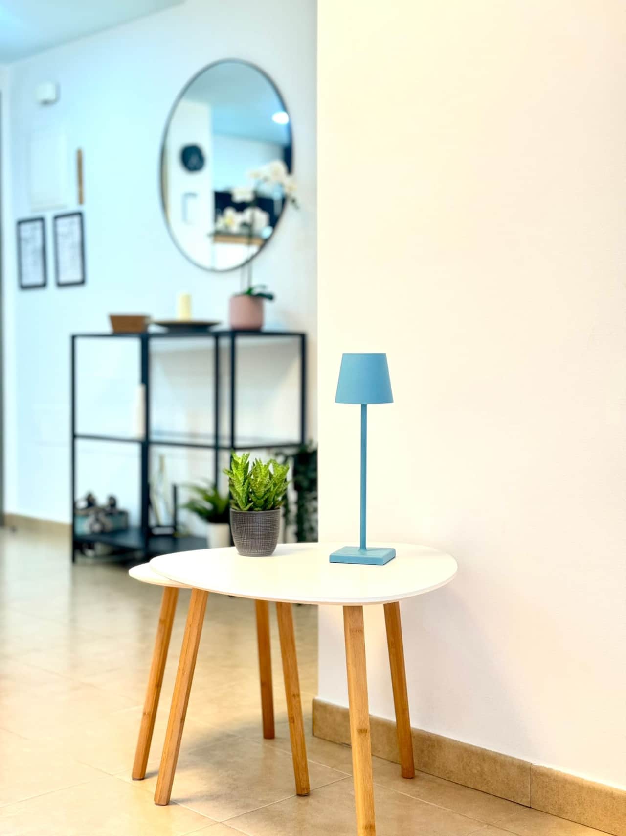 Sunlight space with plants creating a fresh and airy atmosphere.