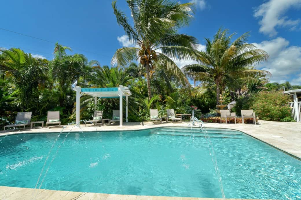 Large saltwater pool with gorgeous coconut palms around the deck