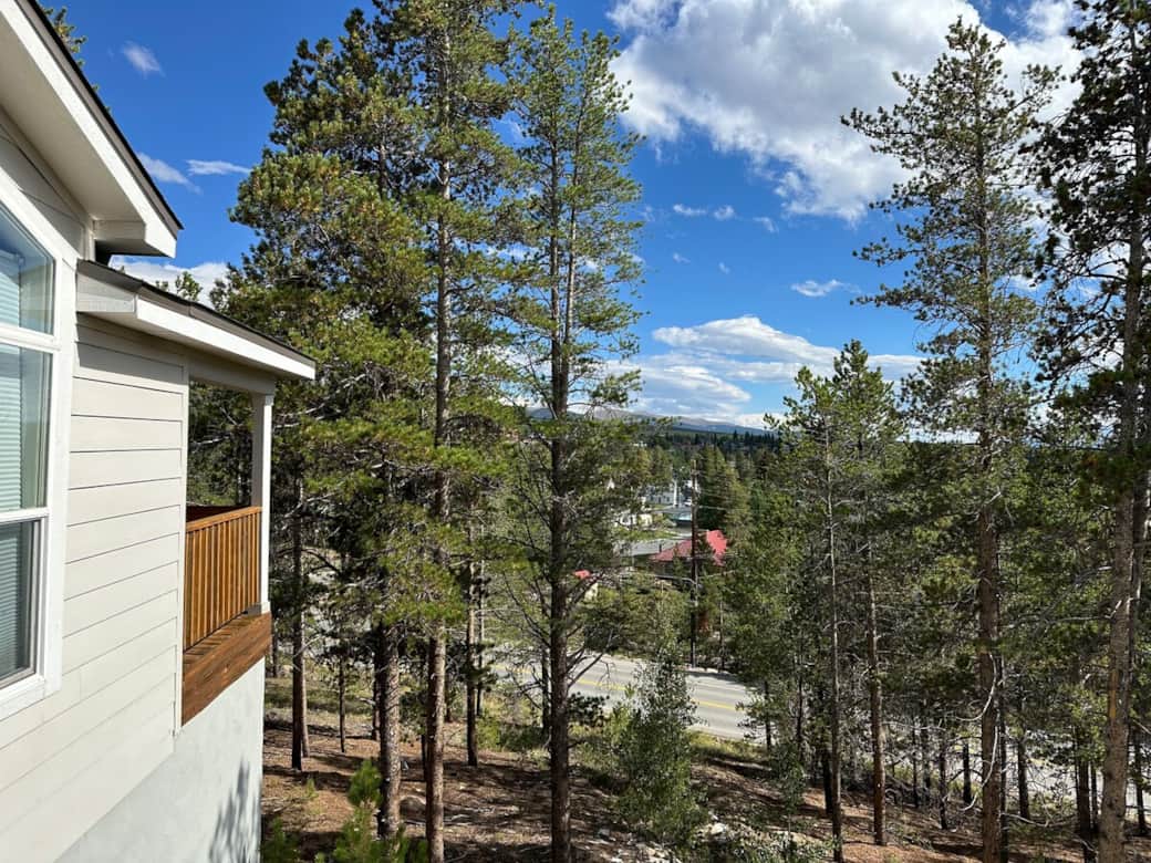 Surrounded by tall trees