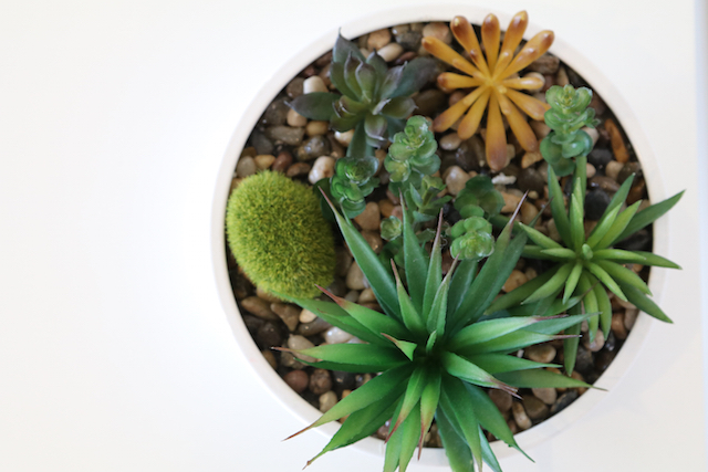 Robe, South Australia