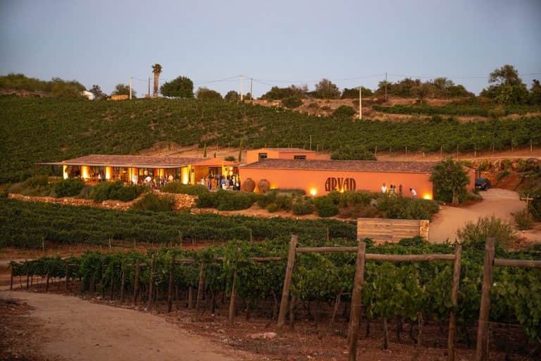 Vinhas da Adega Arvad no Algarve