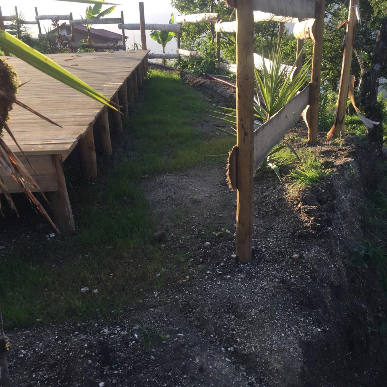 Last deck going up - Flamingo