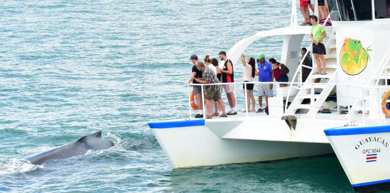 Catamaran Manuel Antonio