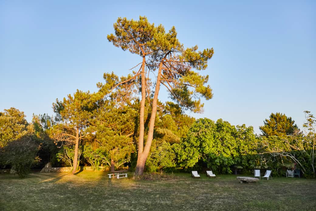 moulin_jardin