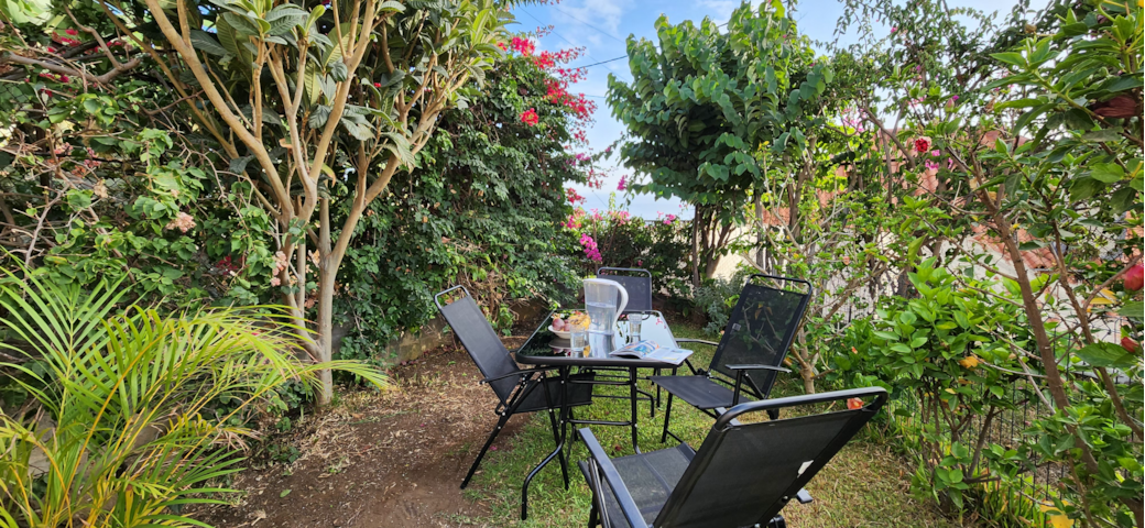 Quiet garden corner at Floeca, perfect for sunny breakfasts and peaceful ocean-side moments Quiet garden corner at Floeca, perfect for sunny breakfasts and peaceful ocean-side moments