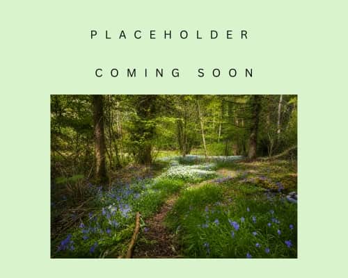 PLACEHOLDER (2)