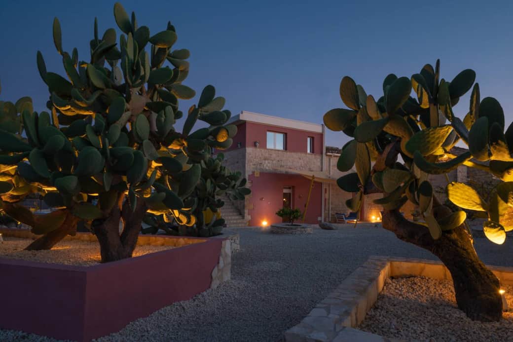 I fichi d'india, re del giardino di Casa Farlisa