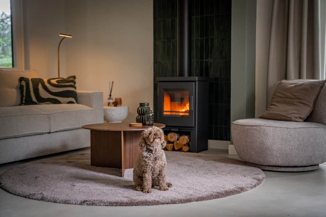 Natuurhuisje Overijssel woonkamer met houtkachel