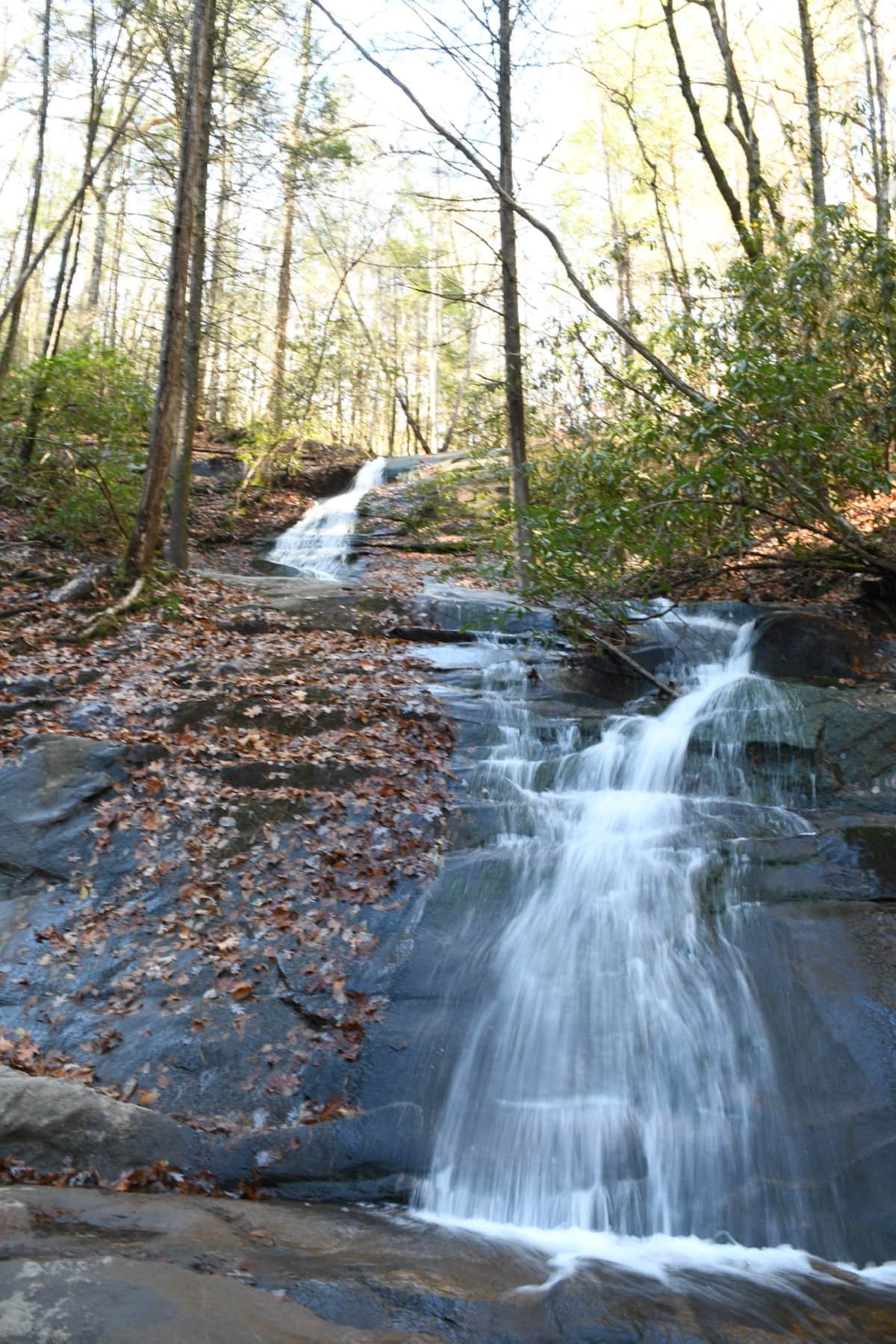 Falls Branch Falls!