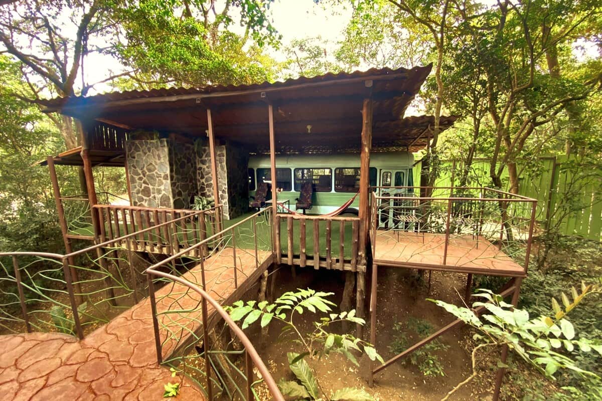 🌿 Unwind in the cloud forest with peaceful views and pure relaxation.