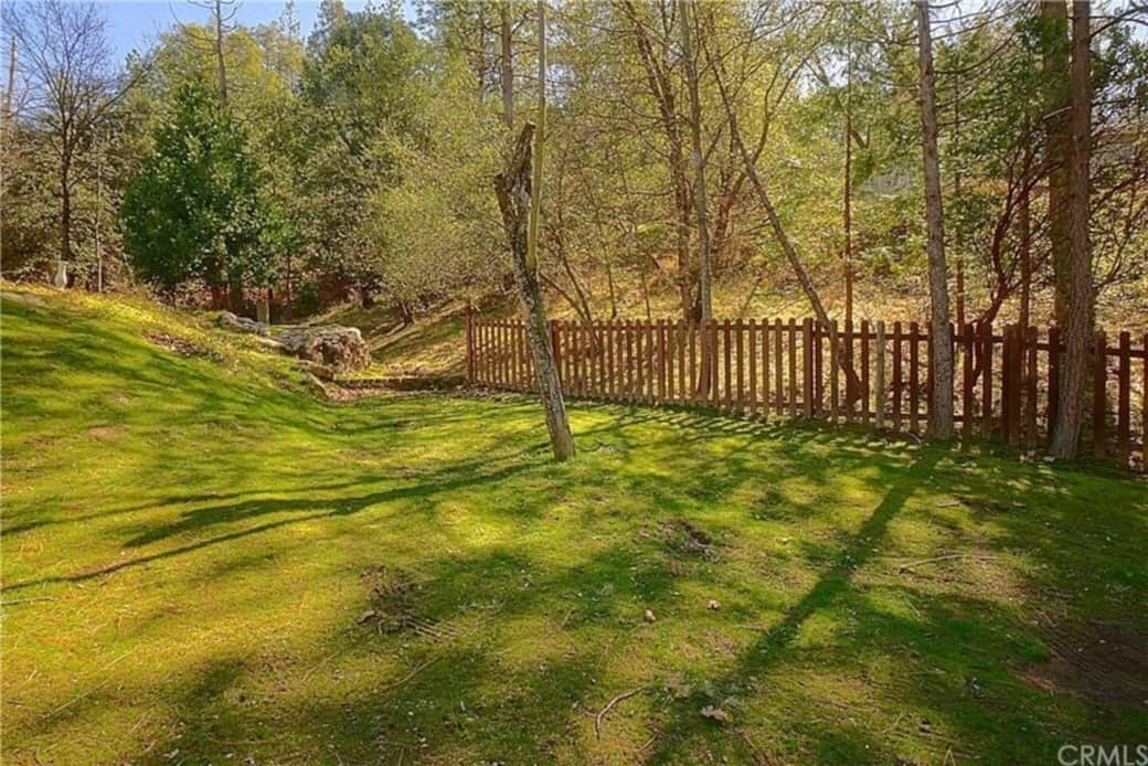 Outdoor seating area surrounded by tall pines