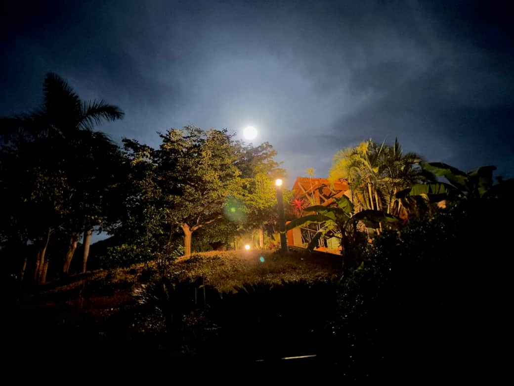 Yard night moon 2